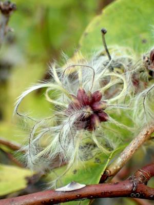 Прикрепленное изображение: 20211017_200047_768x1024.jpg